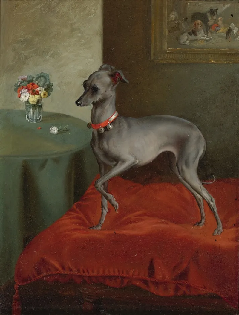 An Italian Greyhound On A Red Cushion