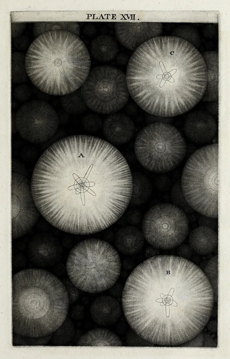 An Original Theory Or New Hypothesis Of The Universe Plate Xvii Wall Art by Thomas Wright - High-Resolution Digital Print