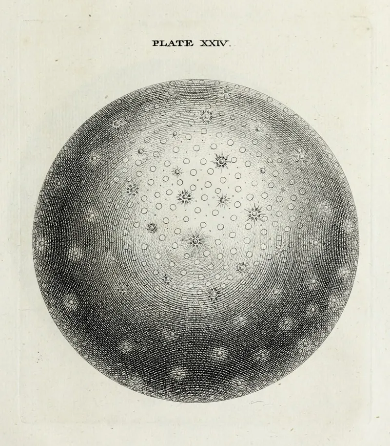 An Original Theory Or New Hypothesis Of The Universe Plate Xxiv Wall Art by Thomas Wright - High-Resolution Digital Print