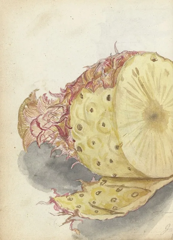 Ananas 5 Wall Art by Jan Brandes - High-Resolution Digital Print