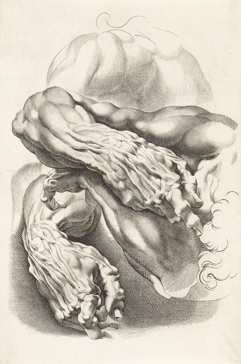 Anatomical Studies Of Arms 3 Wall Art by Paulus Pontius - High-Resolution Digital Print