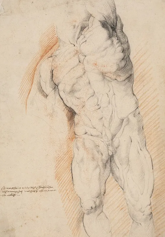 Anatomical Study Ecorche Front View Of Standing Flayed Man His Left Arm Raised