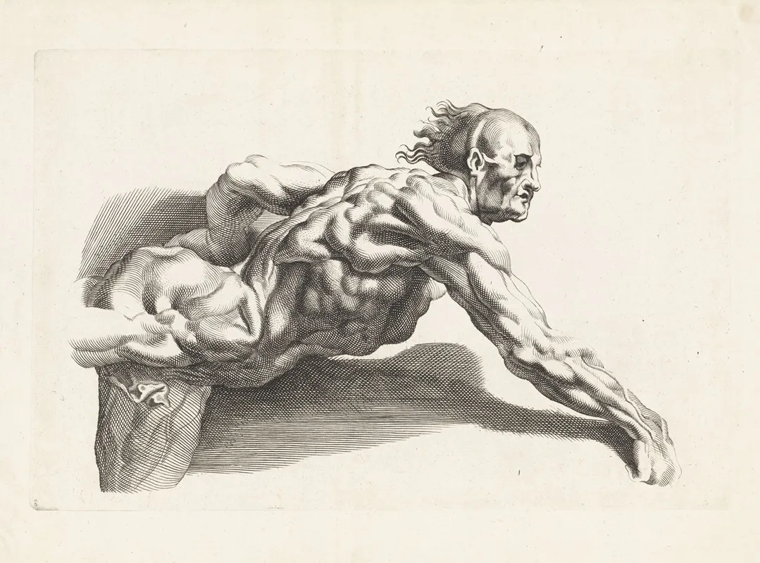 Anatomical Study Of A Man Leaning Forward Wall Art by Paulus Pontius - High-Resolution Digital Print