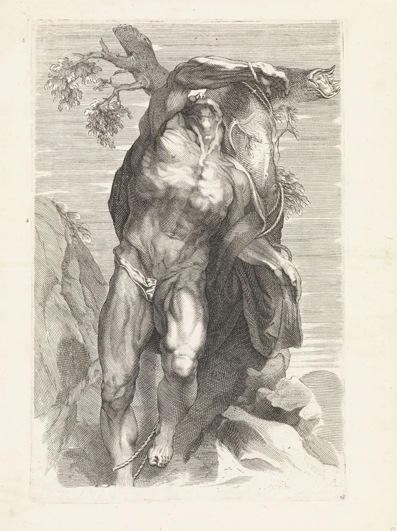 Anatomical Study Of A Man Tied To A Tree Wall Art by Paulus Pontius - High-Resolution Digital Print