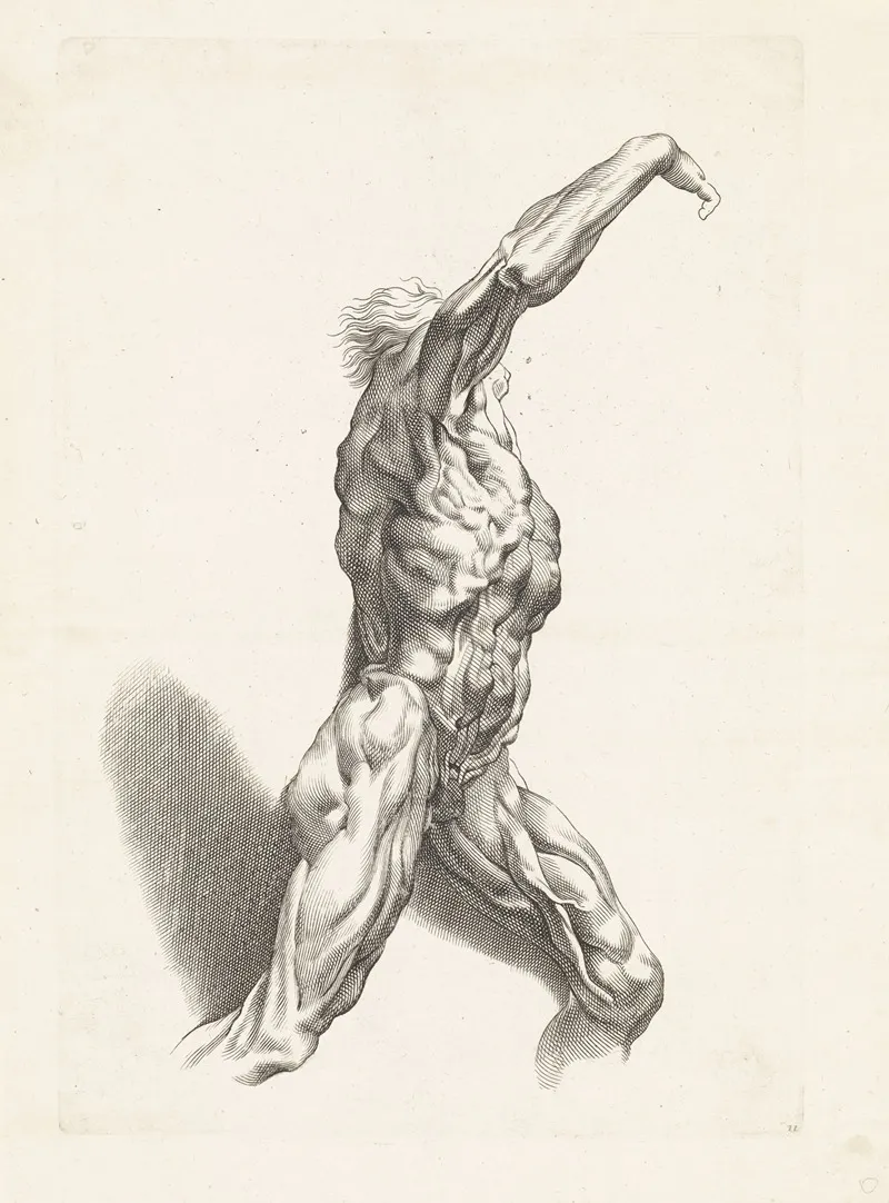 Anatomical Study Of A Man Wall Art by Paulus Pontius - High-Resolution Digital Print