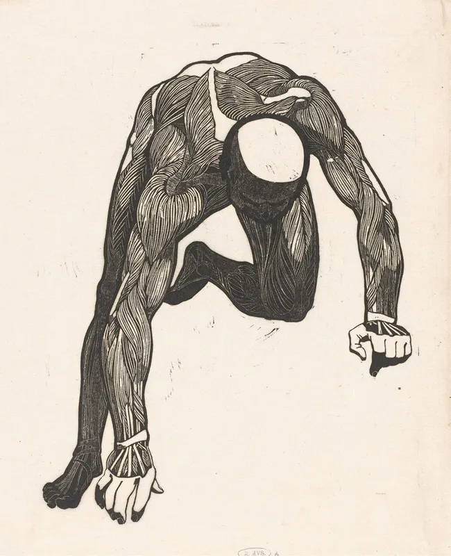 Anatomical Study Of The Neck Arm And Leg Muscles Of A Man Reijer Stolk