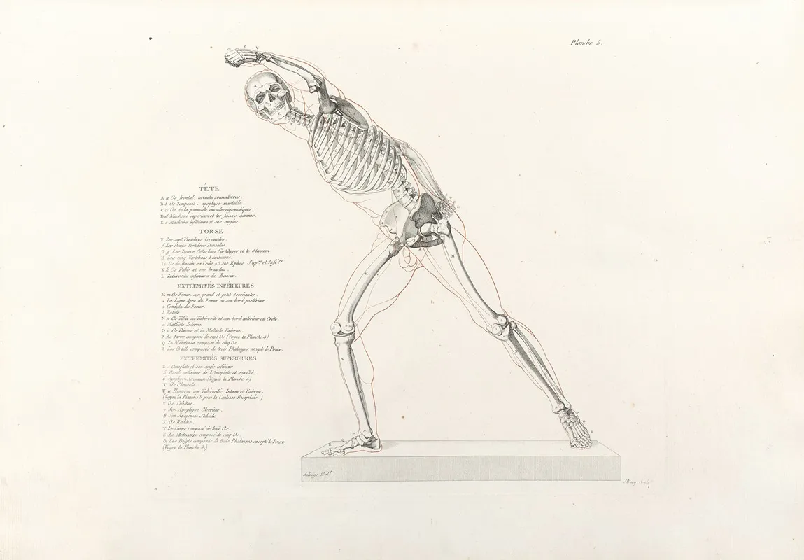 Anatomie Du Gladiateur Combattant Pl 06 Wall Art by Jean-Galbert Salvage - High-Resolution Digital Print