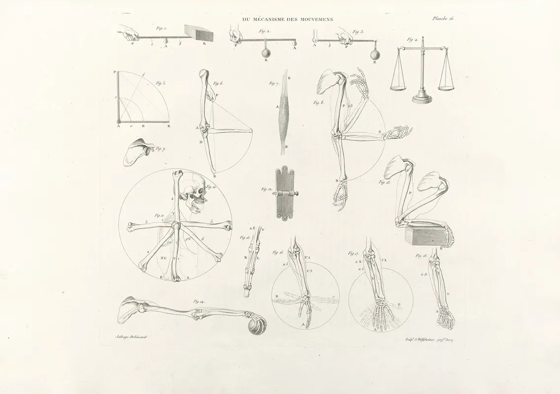 Anatomie Du Gladiateur Combattant Pl 17 Wall Art by Jean-Galbert Salvage - High-Resolution Digital Print