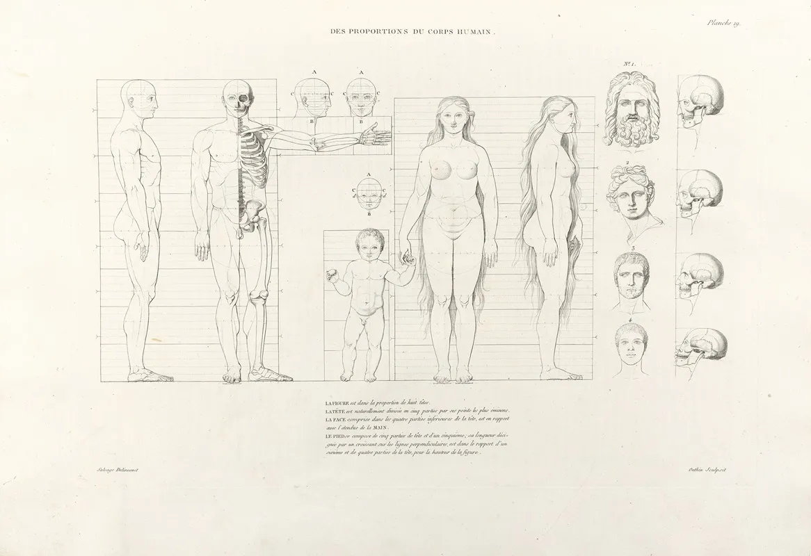 Anatomie Du Gladiateur Combattant Pl 20 Wall Art by Jean-Galbert Salvage - High-Resolution Digital Print
