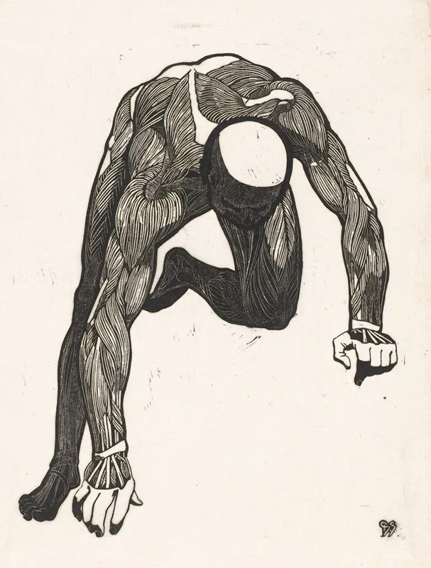 Anatomische Studie Van De Hals Arm En Beenspieren Van Een Man