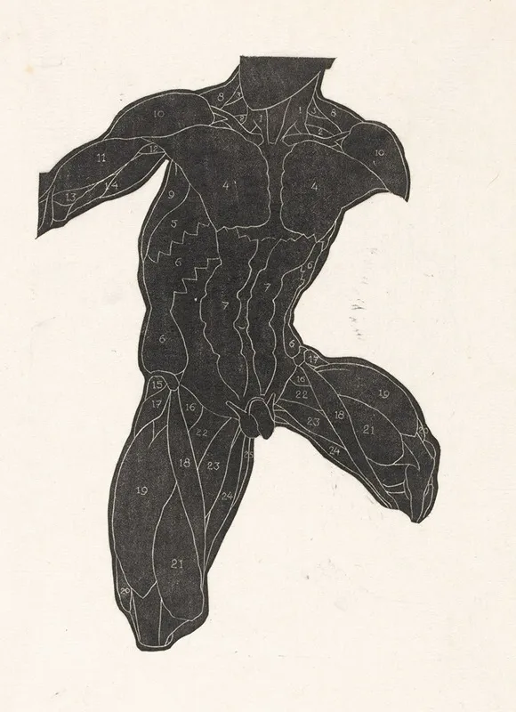Anatomische Studie Van De Nek Buik En Bovenbeenspieren Van Een Man In Silhouet Wall Art by Reijer Stolk - High-Resolution Digital Print