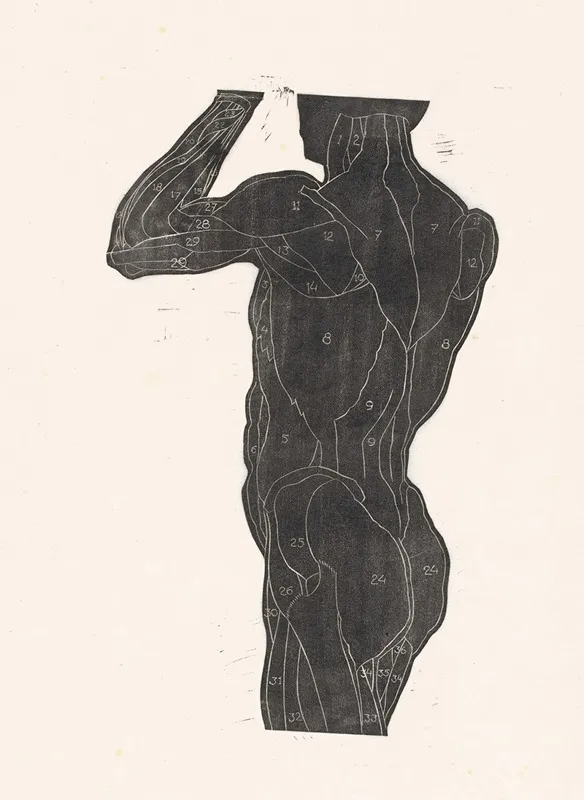 Anatomische Studie Van De Rug En Bilspieren Van Een Man In Silhouet 2