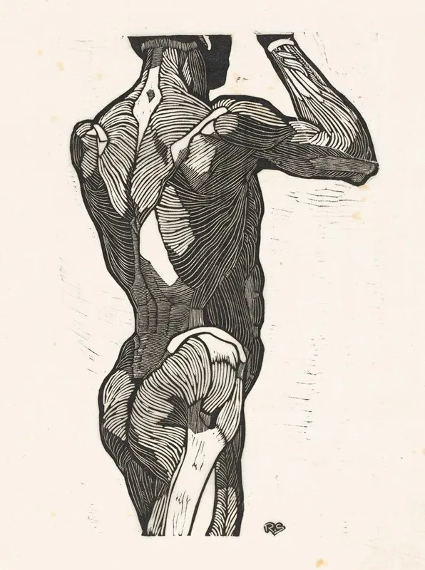 Anatomische Studie Van De Rug En Bilspieren Van Een Man