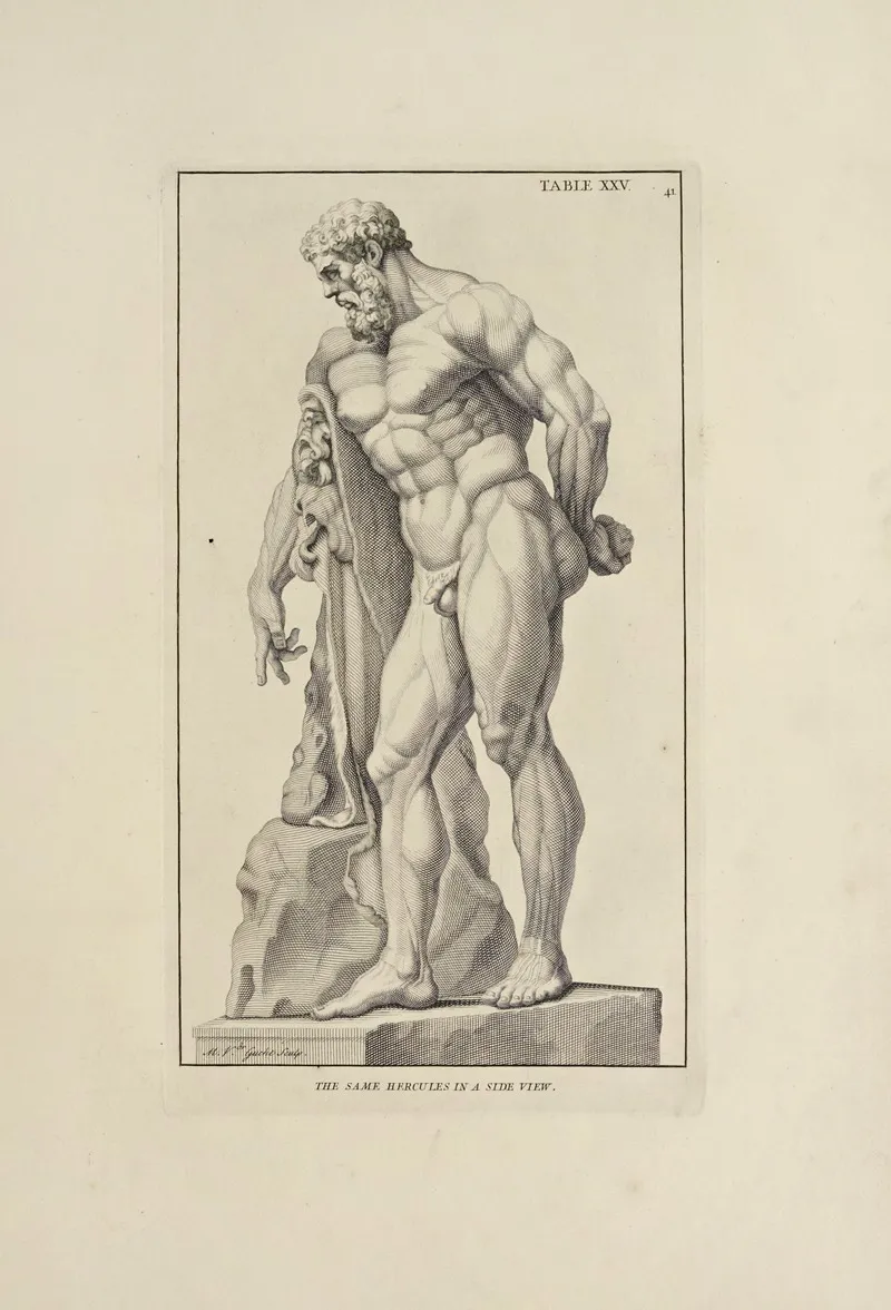 Anatomy Improvd And Illustrated With Regard To The Uses Thereof In Designing Pl 25 Wall Art by Michael van der Gucht - High-Resolution Digital Print