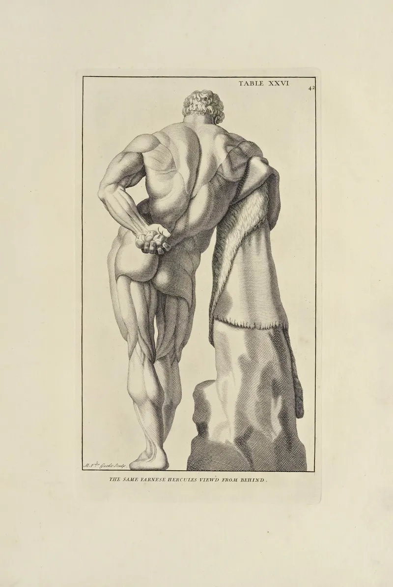 Anatomy Improvd And Illustrated With Regard To The Uses Thereof In Designing Pl 26 Wall Art by Michael van der Gucht - High-Resolution Digital Print