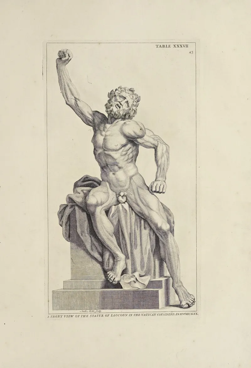 Anatomy Improvd And Illustrated With Regard To The Uses Thereof In Designing Pl 27 Wall Art by Michael van der Gucht - High-Resolution Digital Print