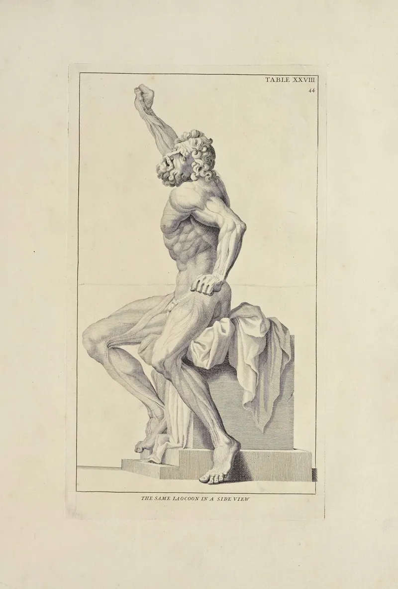Anatomy Improvd And Illustrated With Regard To The Uses Thereof In Designing Pl 28 Wall Art by Michael van der Gucht - High-Resolution Digital Print