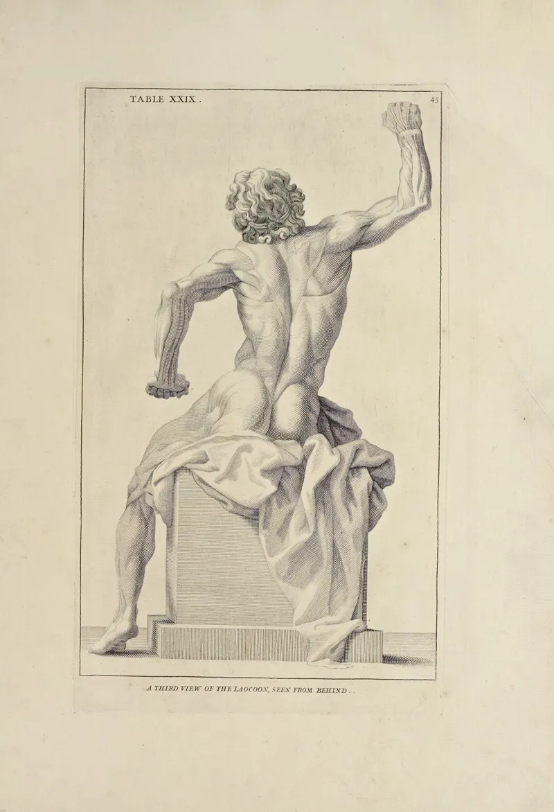 Anatomy Improvd And Illustrated With Regard To The Uses Thereof In Designing Pl 29 Wall Art by Michael van der Gucht - High-Resolution Digital Print