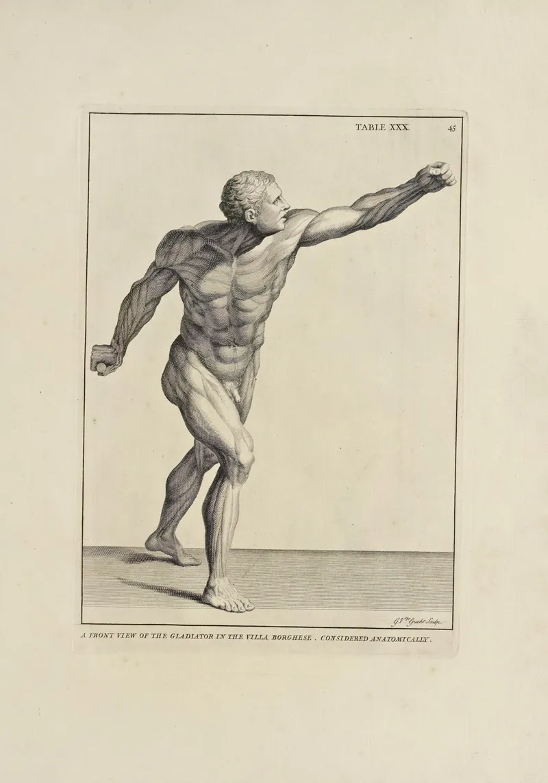 Anatomy Improvd And Illustrated With Regard To The Uses Thereof In Designing Pl 30 Wall Art by Michael van der Gucht - High-Resolution Digital Print