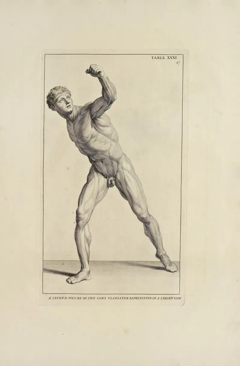 Anatomy Improvd And Illustrated With Regard To The Uses Thereof In Designing Pl 31 Wall Art by Michael van der Gucht - High-Resolution Digital Print