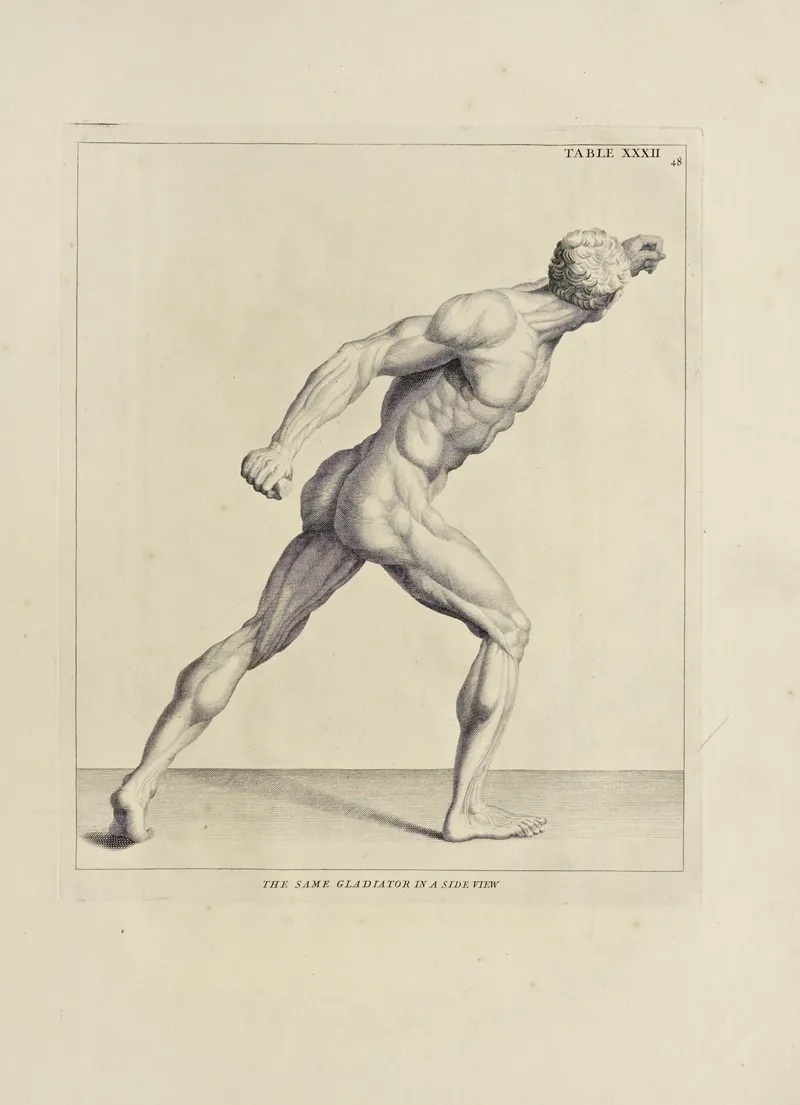 Anatomy Improvd And Illustrated With Regard To The Uses Thereof In Designing Pl 32 Wall Art by Michael van der Gucht - High-Resolution Digital Print
