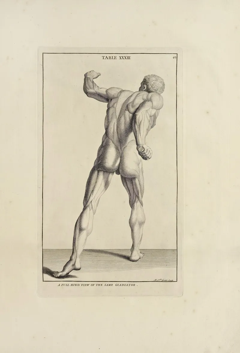 Anatomy Improvd And Illustrated With Regard To The Uses Thereof In Designing Pl 33 Wall Art by Michael van der Gucht - High-Resolution Digital Print