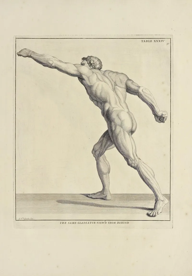Anatomy Improvd And Illustrated With Regard To The Uses Thereof In Designing Pl 34 Wall Art by Michael van der Gucht - High-Resolution Digital Print