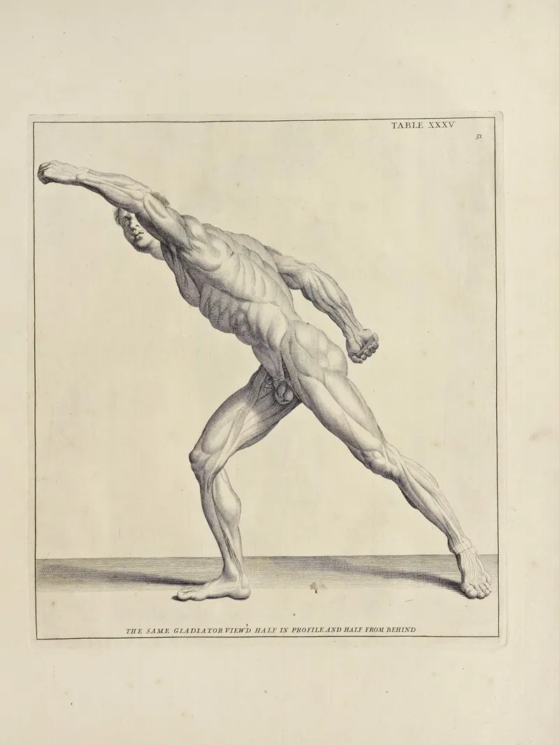 Anatomy Improvd And Illustrated With Regard To The Uses Thereof In Designing Pl 35 Wall Art by Michael van der Gucht - High-Resolution Digital Print