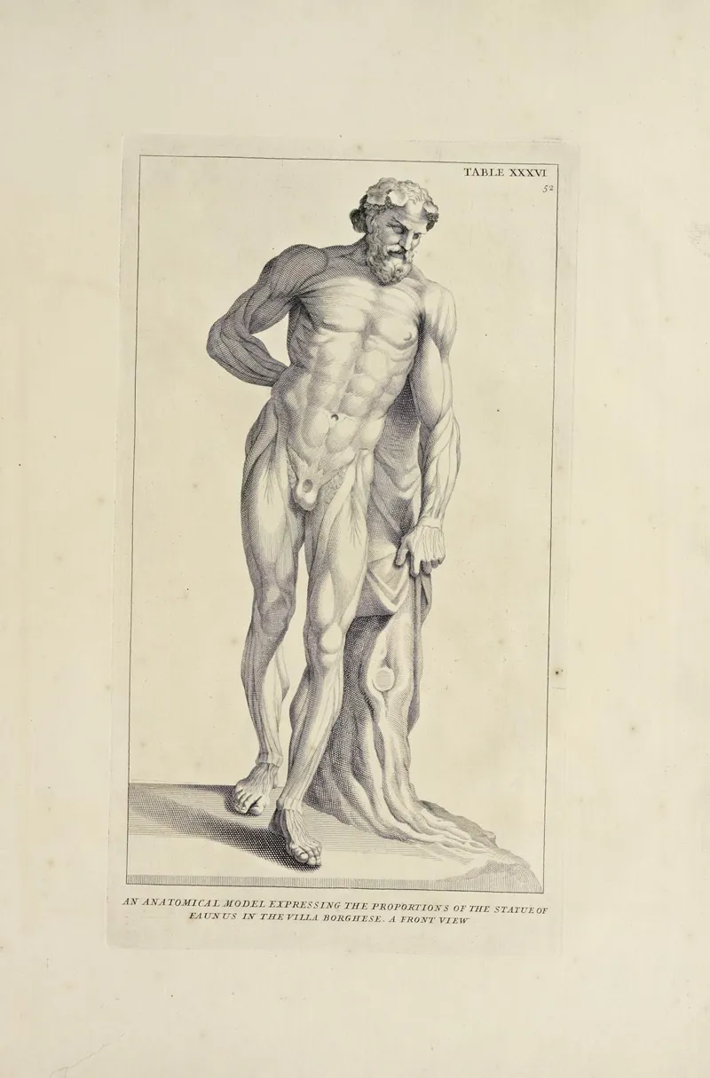 Anatomy Improvd And Illustrated With Regard To The Uses Thereof In Designing Pl 36 Wall Art by Michael van der Gucht - High-Resolution Digital Print
