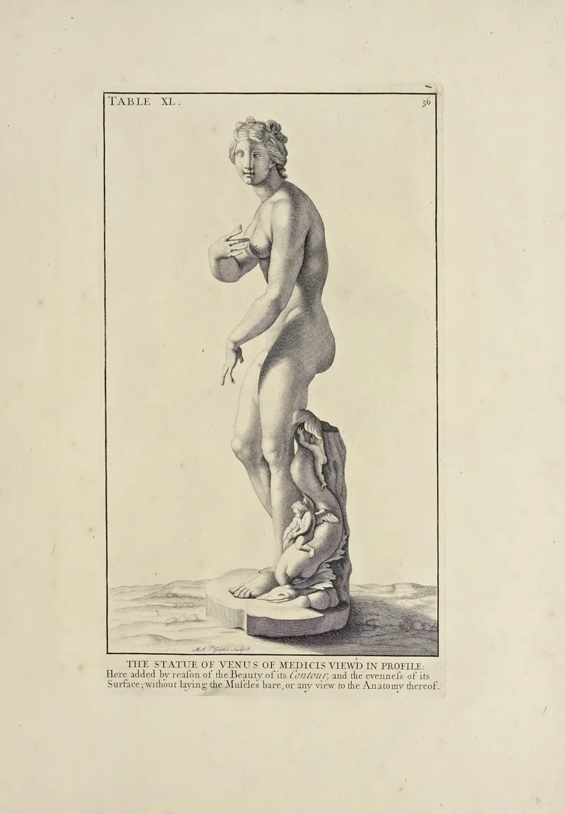 Anatomy Improvd And Illustrated With Regard To The Uses Thereof In Designing Pl 40 Wall Art by Michael van der Gucht - High-Resolution Digital Print