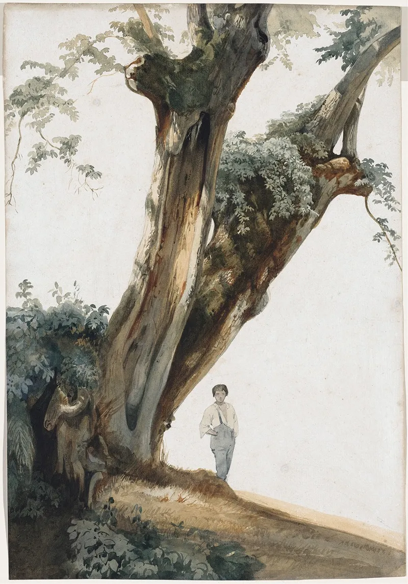 Ancient Trees In The Roman Campagna Wall Art by Giovanni Costa - High-Resolution Digital Print
