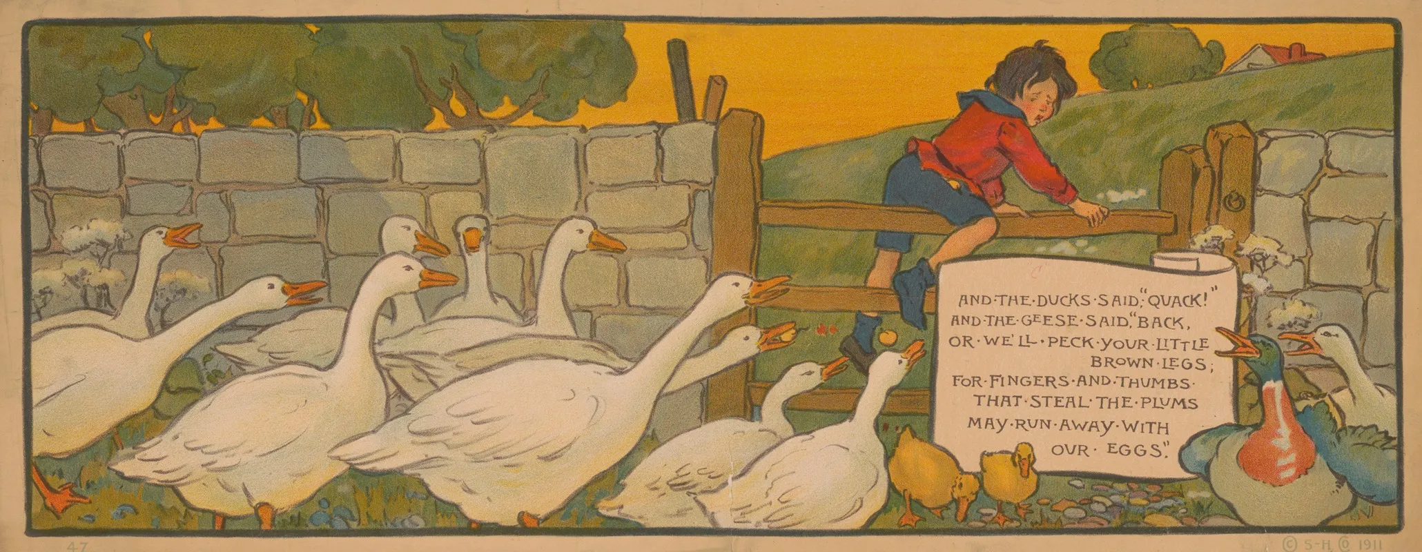 And The Ducks Said Quack