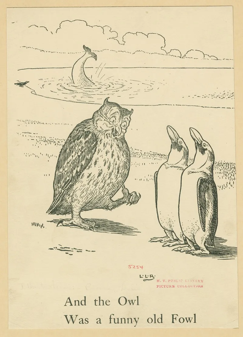 And The Owl Was A Funny Old Fowl