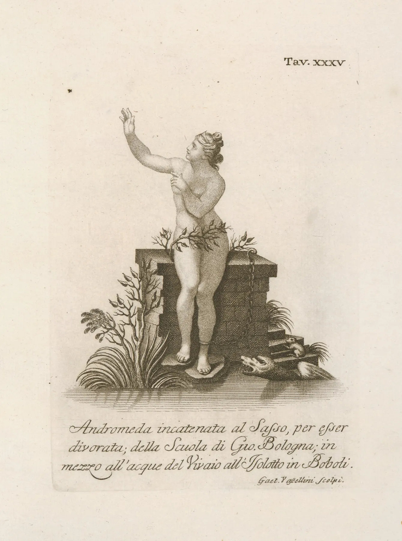 Andromeda Incatenata Al Sasso Per Esser Divorata Della Scuola Di Gio Bologna Wall Art by Gaetano Vascellini - High-Resolution Digital Print