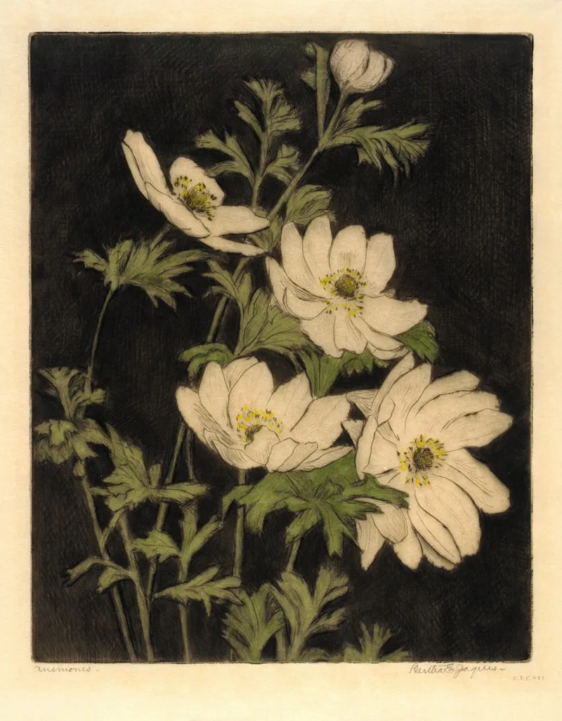 Anemones 7
