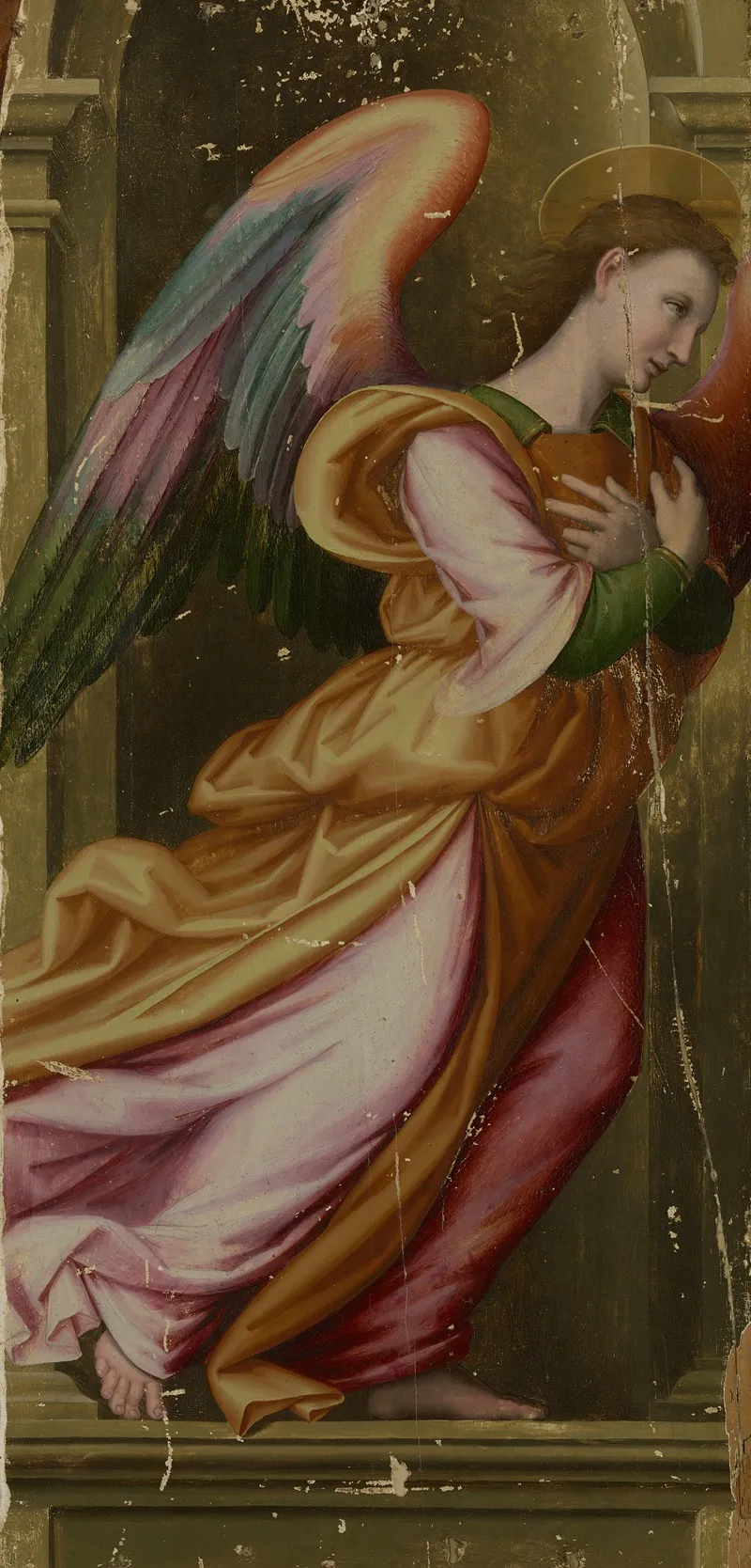 Angel In Adoration Wall Art by Giovanni Antonio di Francesco Sogliani - High-Resolution Digital Print