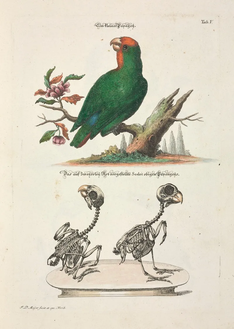 Angenehmer Und Nutzlicher Zeit Vertreib Pl 005 Wall Art by Johann Daniel Meyer - High-Resolution Digital Print