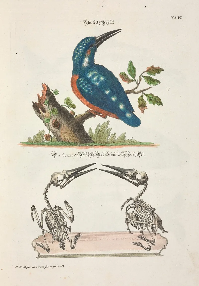 Angenehmer Und Nutzlicher Zeit Vertreib Pl 006 Wall Art by Johann Daniel Meyer - High-Resolution Digital Print