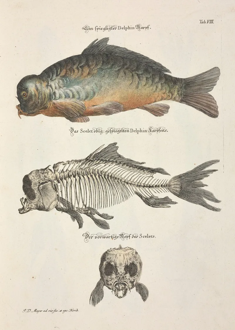 Angenehmer Und Nutzlicher Zeit Vertreib Pl 008 Wall Art by Johann Daniel Meyer - High-Resolution Digital Print