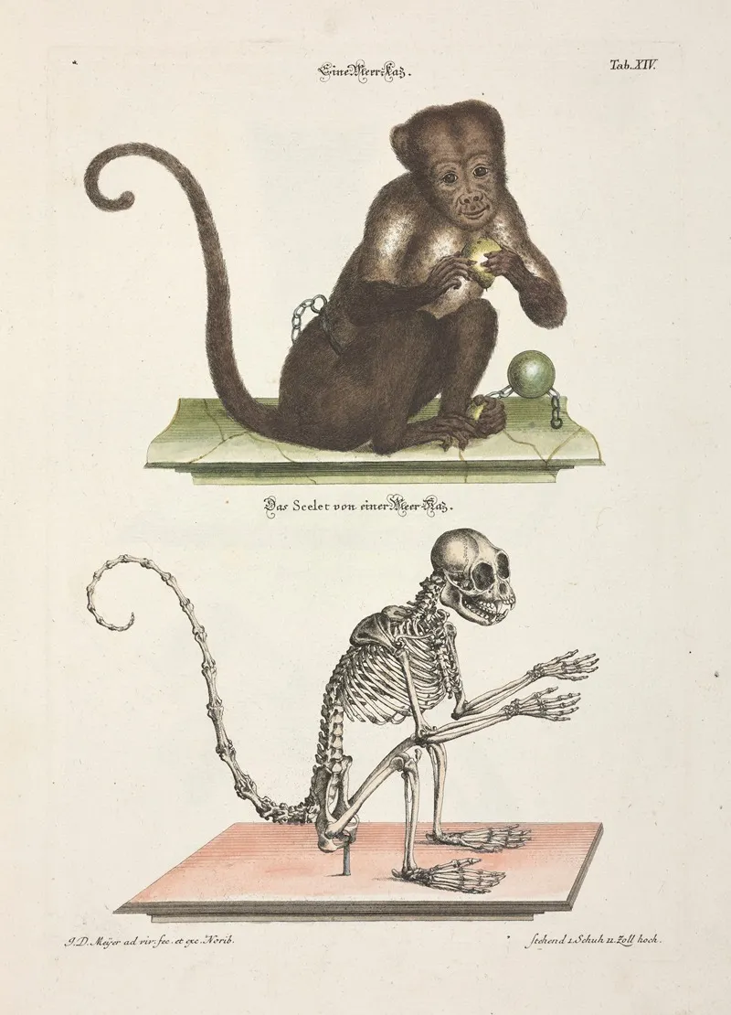 Angenehmer Und Nutzlicher Zeit Vertreib Pl 014 Wall Art by Johann Daniel Meyer - High-Resolution Digital Print