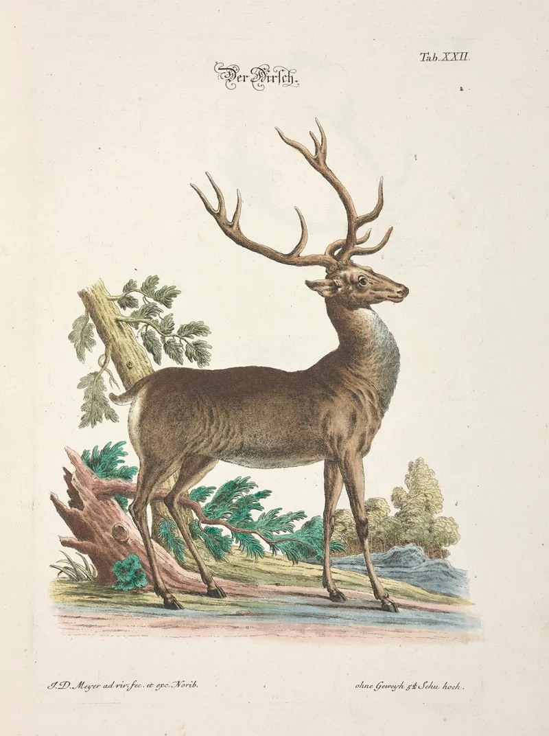 Angenehmer Und Nutzlicher Zeit Vertreib Pl 022 Wall Art by Johann Daniel Meyer - High-Resolution Digital Print