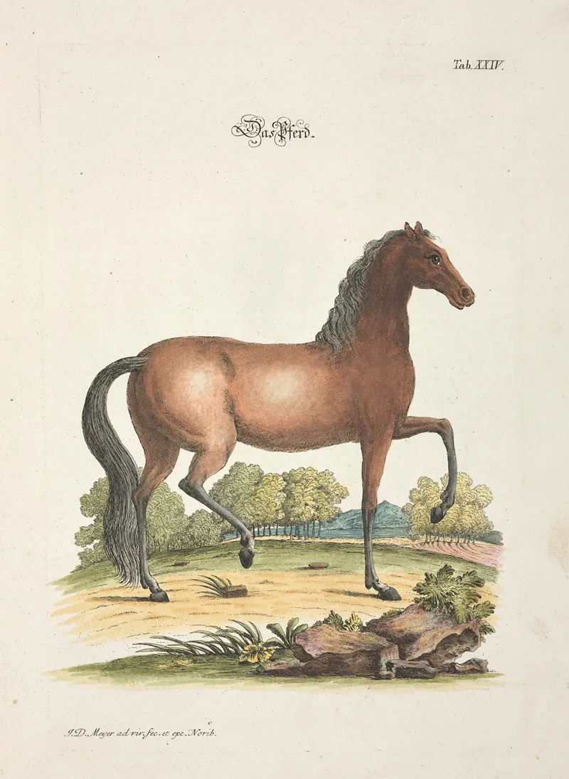 Angenehmer Und Nutzlicher Zeit Vertreib Pl 024 Wall Art by Johann Daniel Meyer - High-Resolution Digital Print