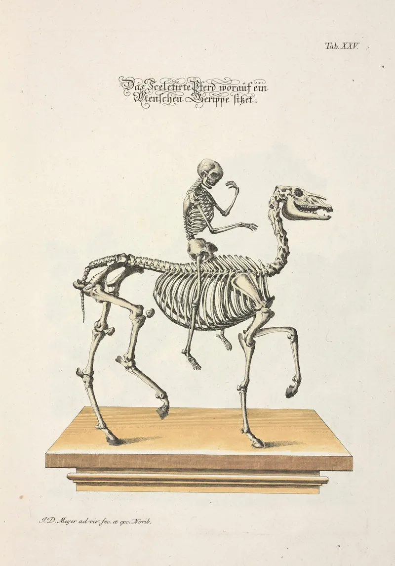 Angenehmer Und Nutzlicher Zeit Vertreib Pl 025 Wall Art by Johann Daniel Meyer - High-Resolution Digital Print