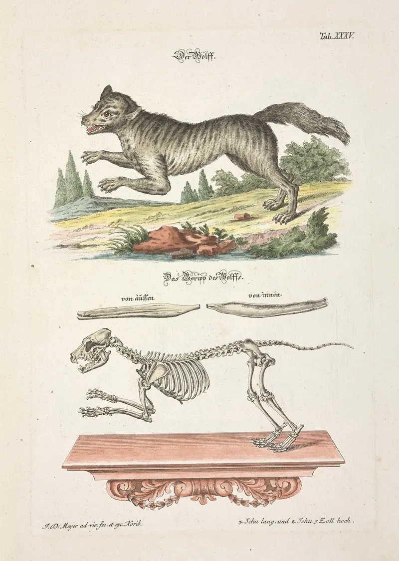 Angenehmer Und Nutzlicher Zeit Vertreib Pl 035 Wall Art by Johann Daniel Meyer - High-Resolution Digital Print