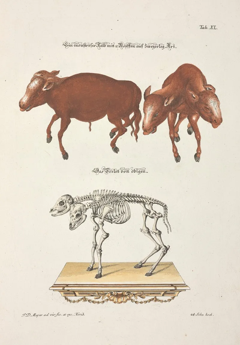 Angenehmer Und Nutzlicher Zeit Vertreib Pl 040 Wall Art by Johann Daniel Meyer - High-Resolution Digital Print