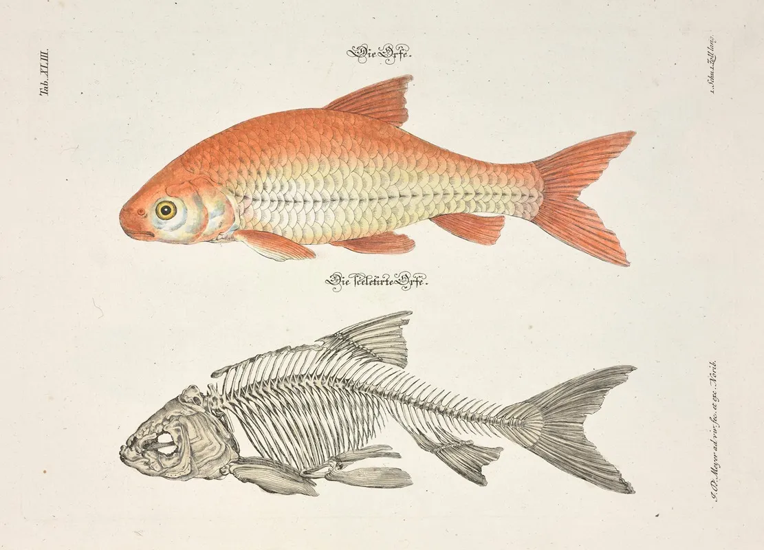 Angenehmer Und Nutzlicher Zeit Vertreib Pl 043 Wall Art by Johann Daniel Meyer - High-Resolution Digital Print