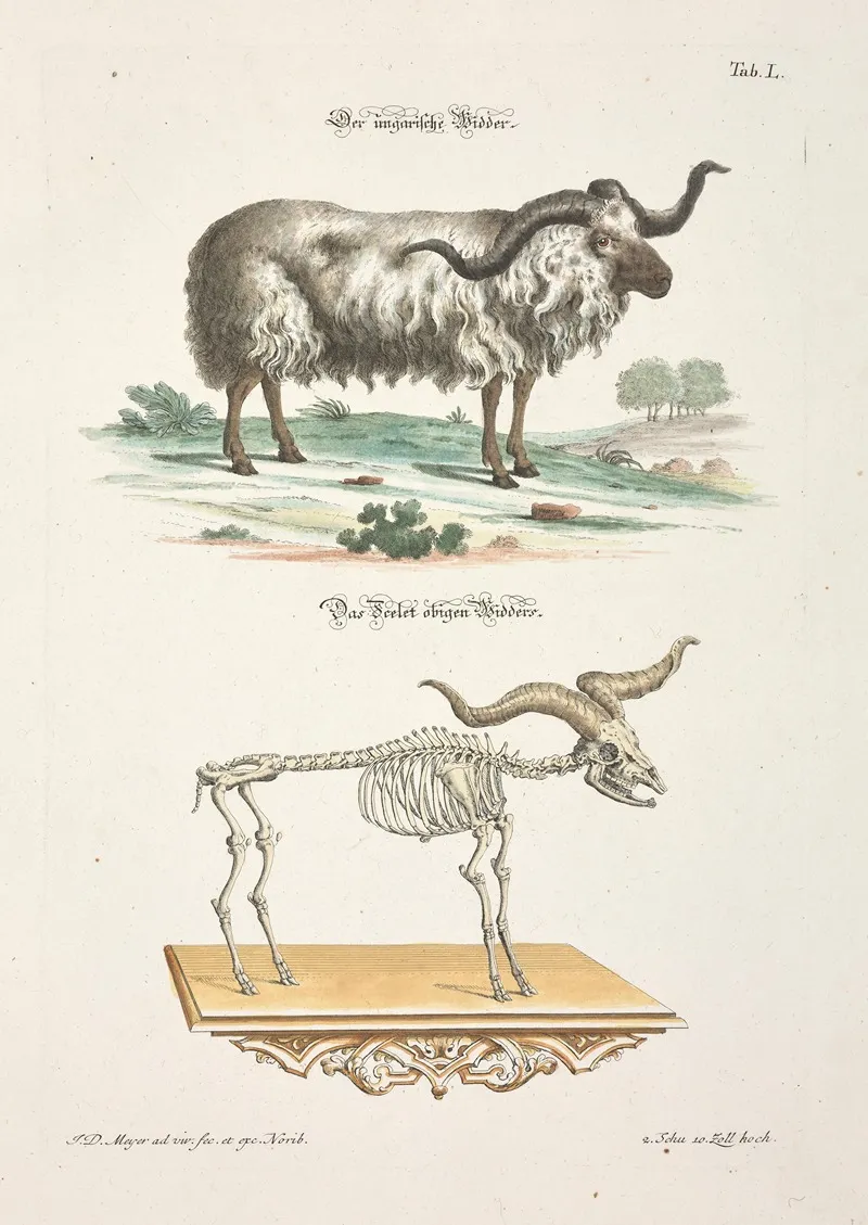 Angenehmer Und Nutzlicher Zeit Vertreib Pl 050 Wall Art by Johann Daniel Meyer - High-Resolution Digital Print