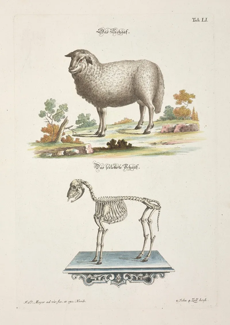 Angenehmer Und Nutzlicher Zeit Vertreib Pl 051 Wall Art by Johann Daniel Meyer - High-Resolution Digital Print