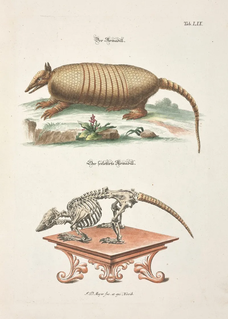 Angenehmer Und Nutzlicher Zeit Vertreib Pl 059 Wall Art by Johann Daniel Meyer - High-Resolution Digital Print