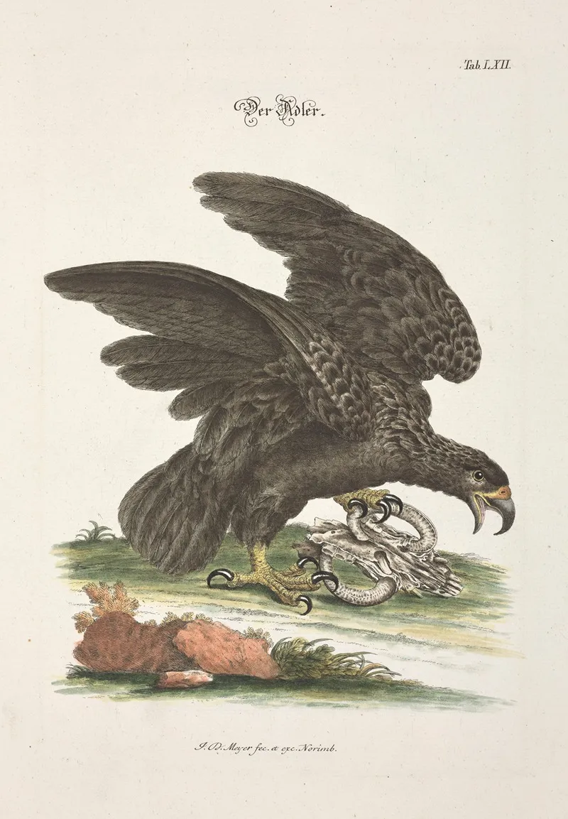 Angenehmer Und Nutzlicher Zeit Vertreib Pl 062 Wall Art by Johann Daniel Meyer - High-Resolution Digital Print